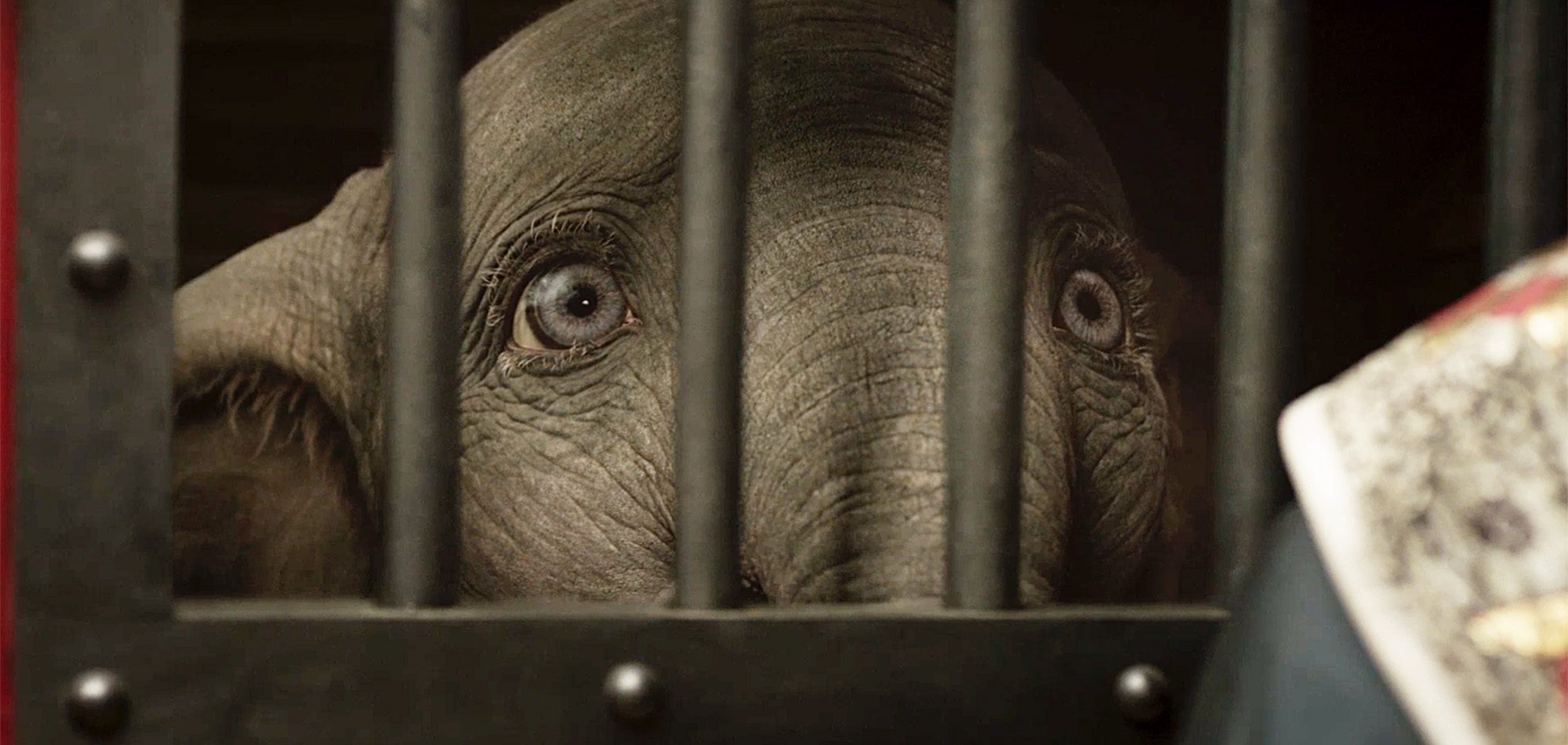 فیلم Dumbo - دامبو