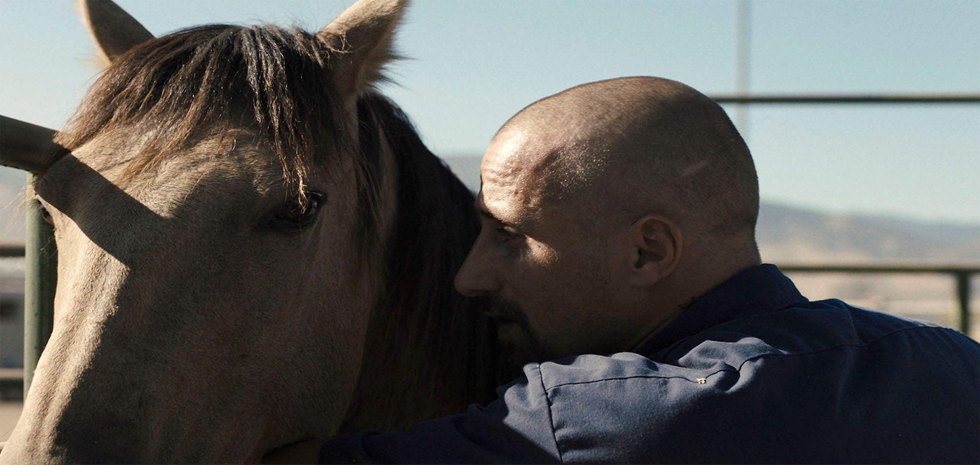 بررسی فیلم The Mustang موستانگ