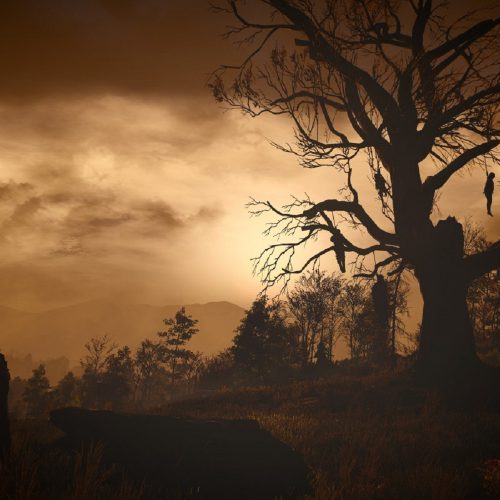 مجموعه‌ ویچر