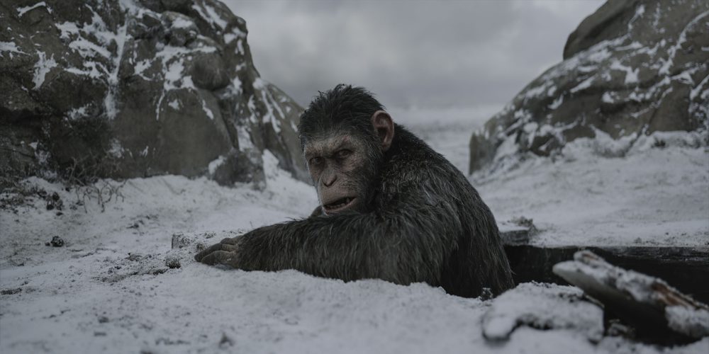 قسمت جدید Planet of the Apes