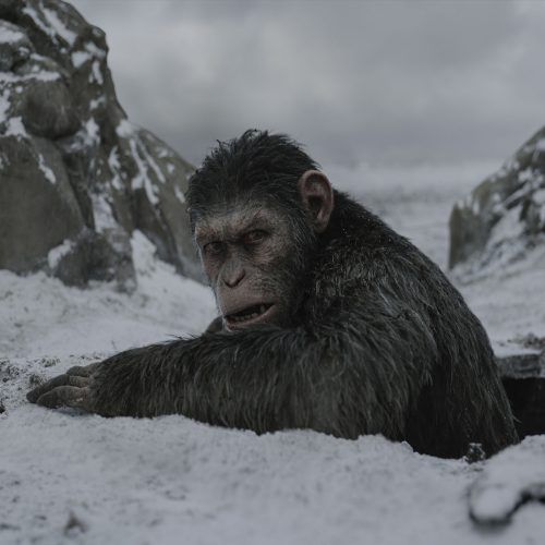 قسمت جدید Planet of the Apes