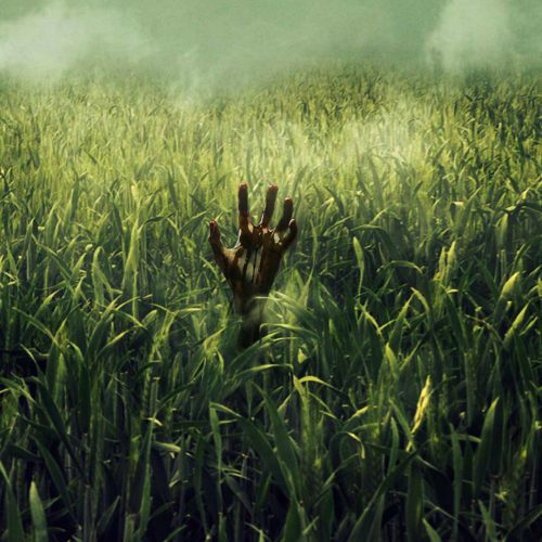 In The Tall Grass - در میان علفزار بلند