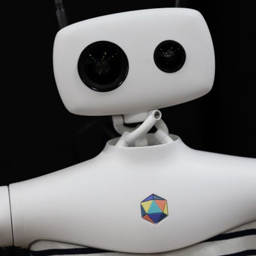 ربات ۱۷ هزار دلاری