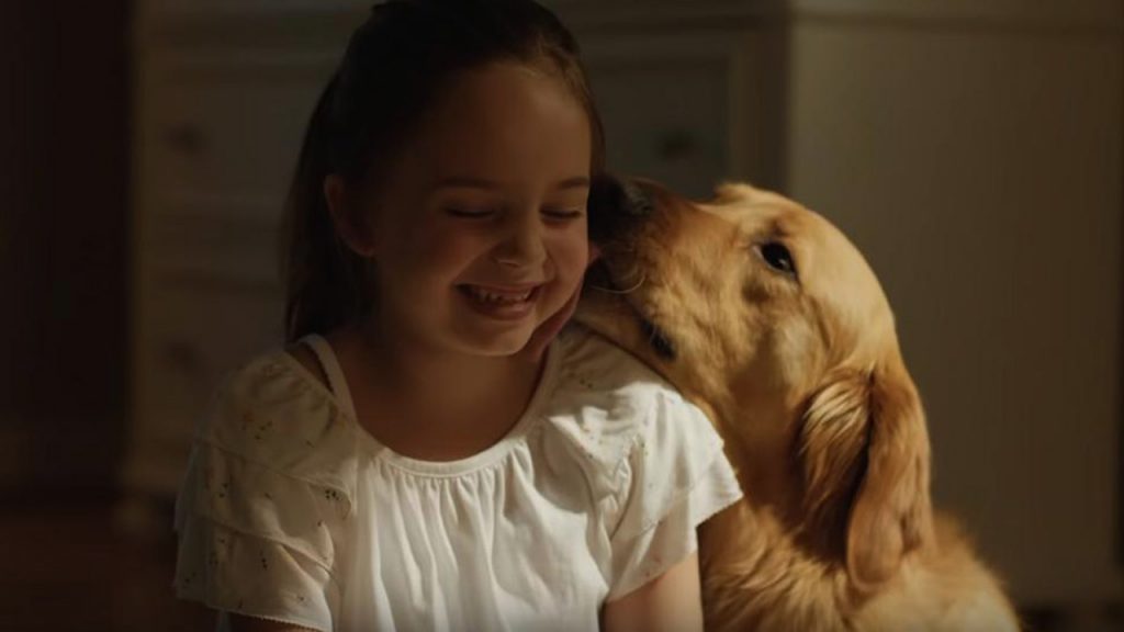 فیلم The art of racing in the rain