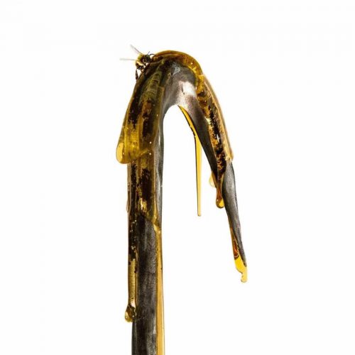 نخستین تیزر‌های فیلم Candyman