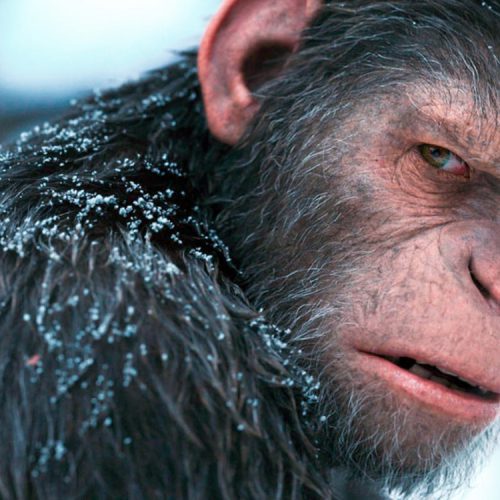 سیاره میمون‌ها