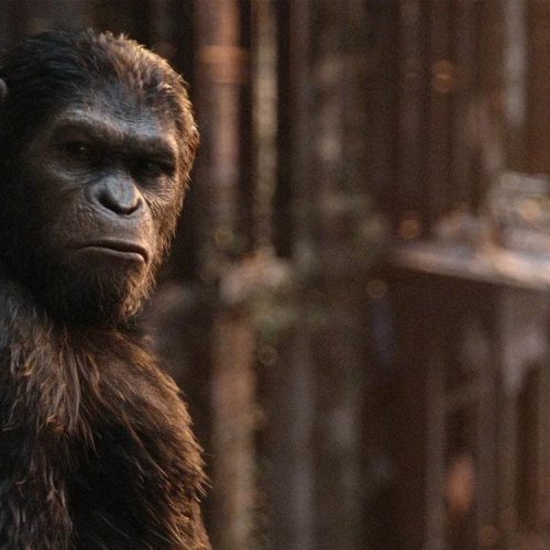 ریبوت فیلم‌های Planet of the Apes
