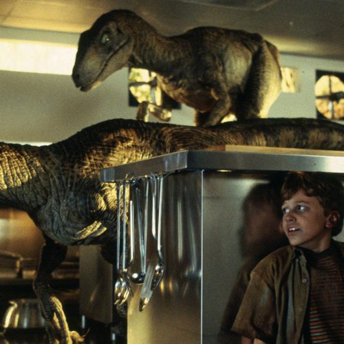 شخصشخصیت تیم مورفییت تیم مورفی