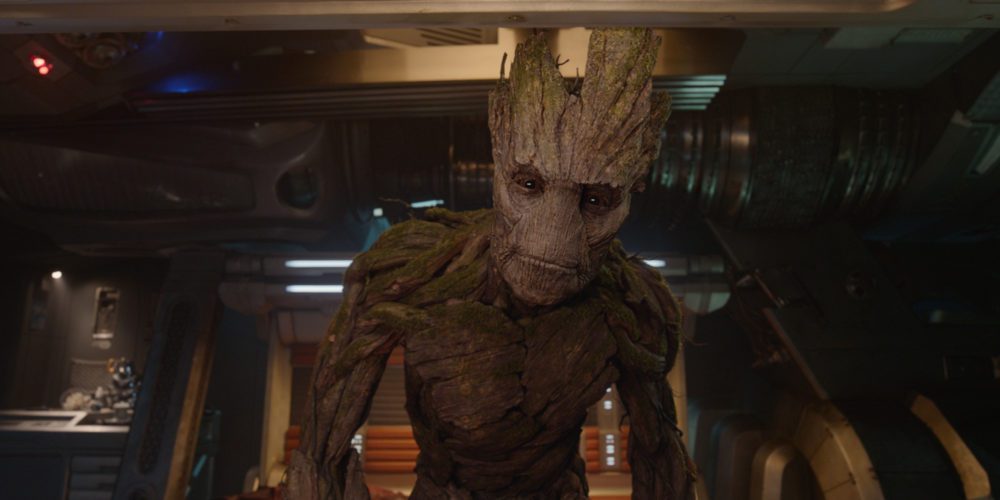 شخصیت آلفا گروت