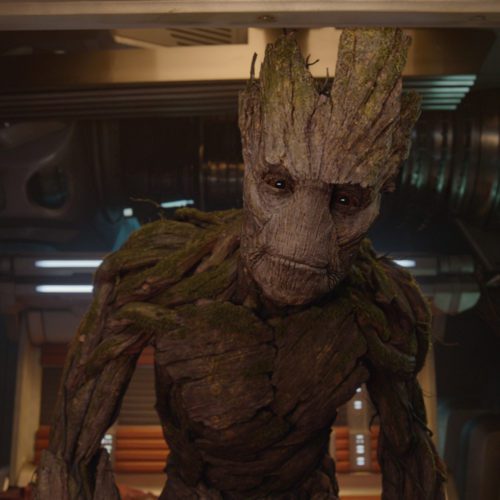 شخصیت آلفا گروت