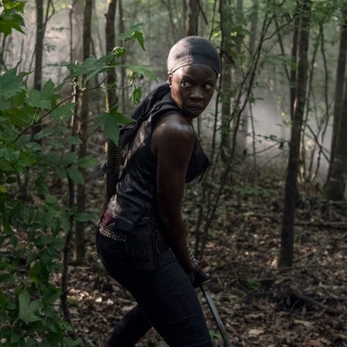 پایان سریال The Walking Dead