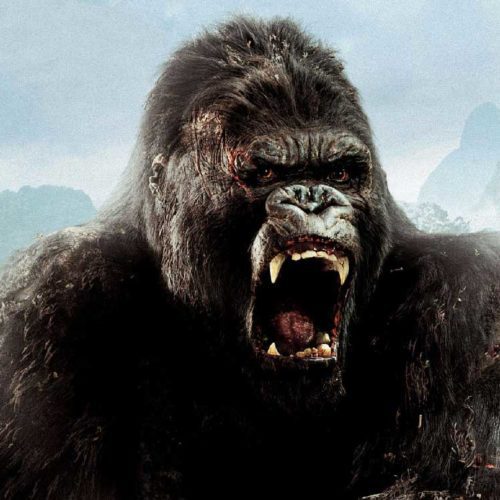 هیولای جدید سری King Kong