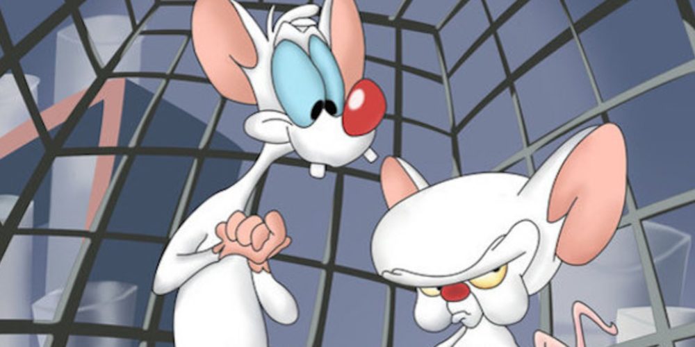pinky and the brain