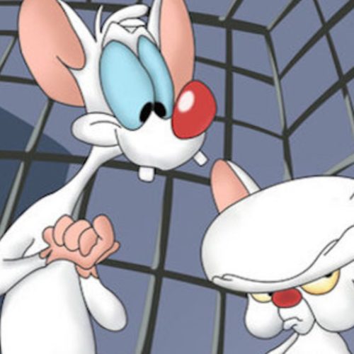 pinky and the brain