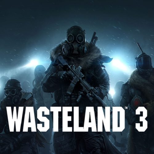 Wasteland 3
