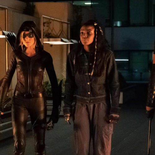 وضعیت سریال Green Arrow and the Canaries