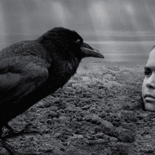 بررسی فیلم The Painted Bird – پرنده رنگین