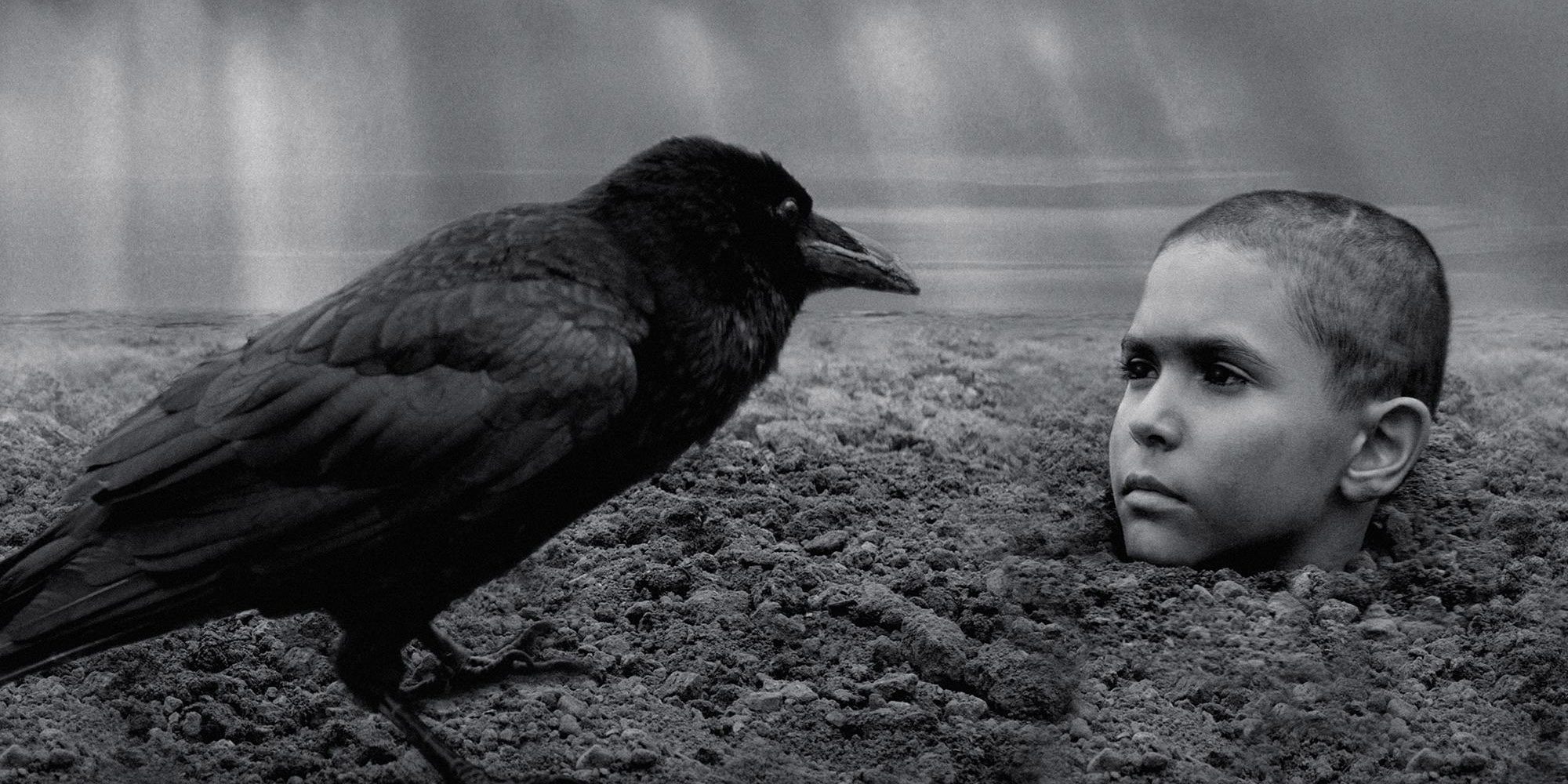بررسی فیلم The Painted Bird – پرنده رنگین