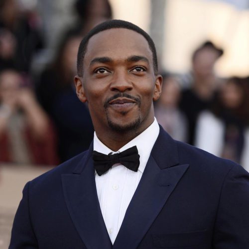 بازیگر The Falcon and The Winter Soldier