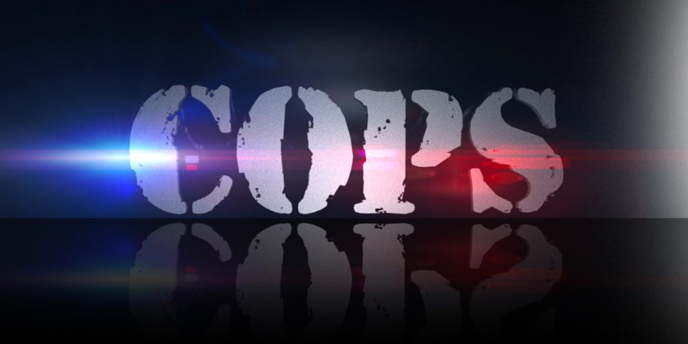 سریال واقع‌نمای Cops