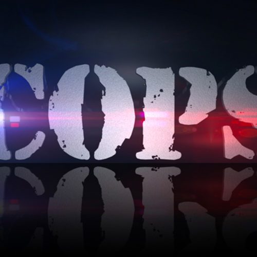 سریال واقع‌نمای Cops