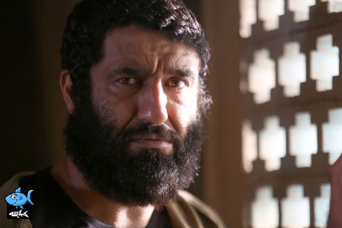 پژمان جمشیدی فیلم سینمایی کوسه