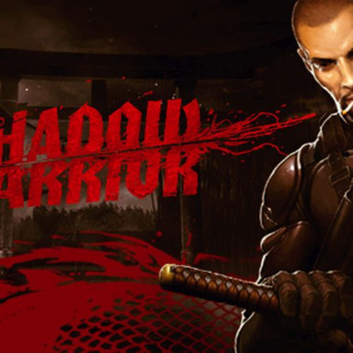 سری Shadow Warrior