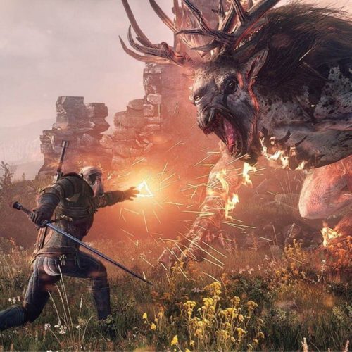 اسکیت‌سواری The Witcher 3