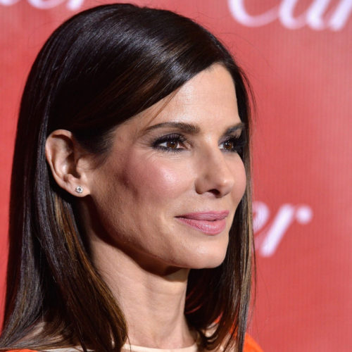 تیم بازیگری Bullet Train