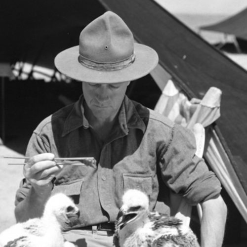 ایندیانا جونز واقعی کیست؟