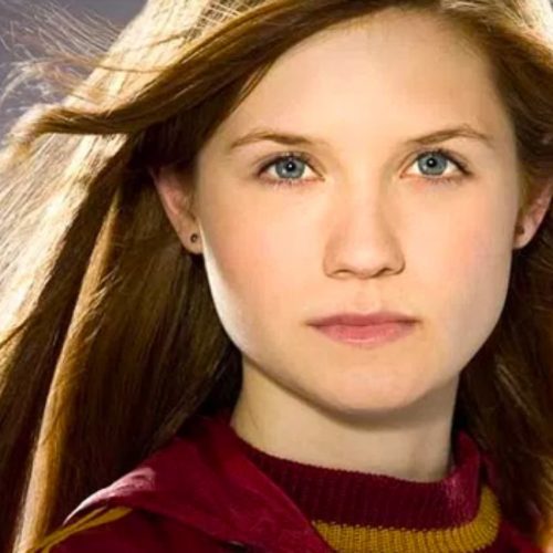 بازسازی سری هری