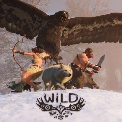 آخرین اطلاعات از وضعیت بازی Wild