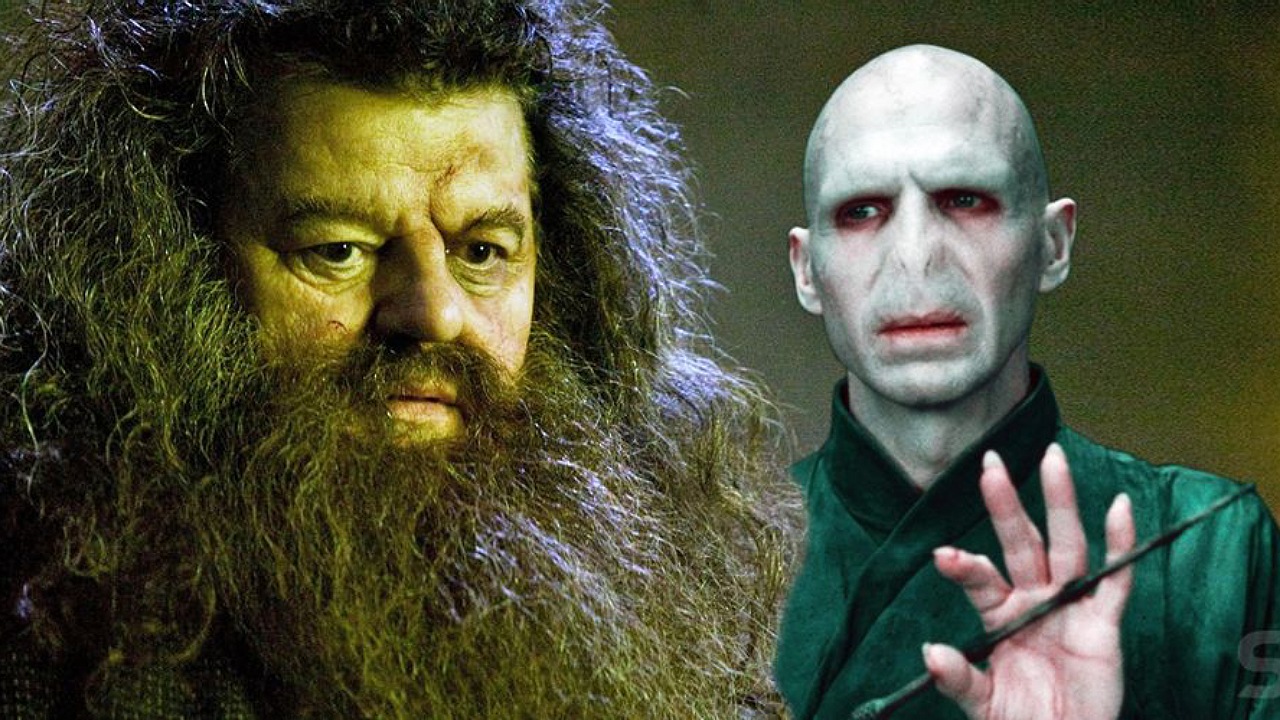 شخصیت ولدمورت - هری پاتر