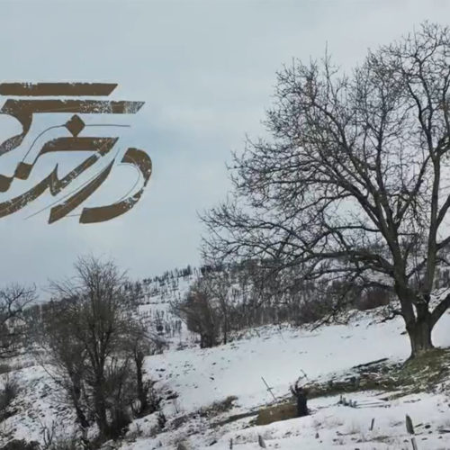 نقد فیلم درخت گردو