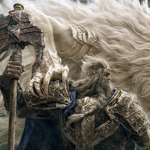 بازیکنان همزمان Elden Ring