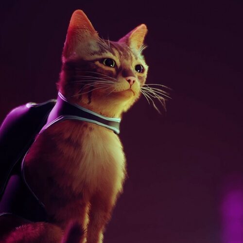 سیستم مورد نیاز بازی Stray