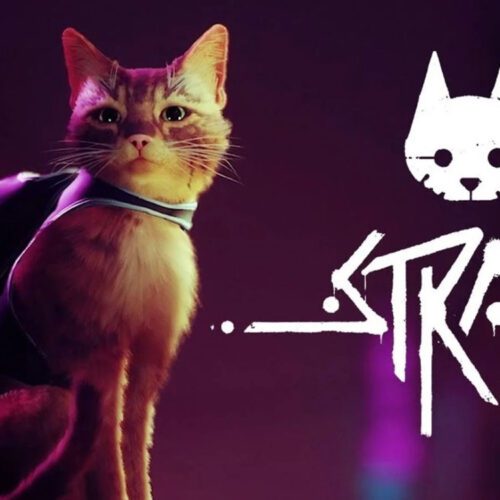 تاریخ انتشار بازی Stray