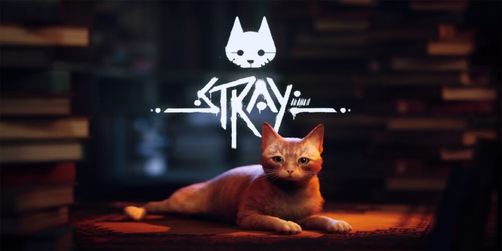 همکاری ناشر بازی Stray با خیریهها