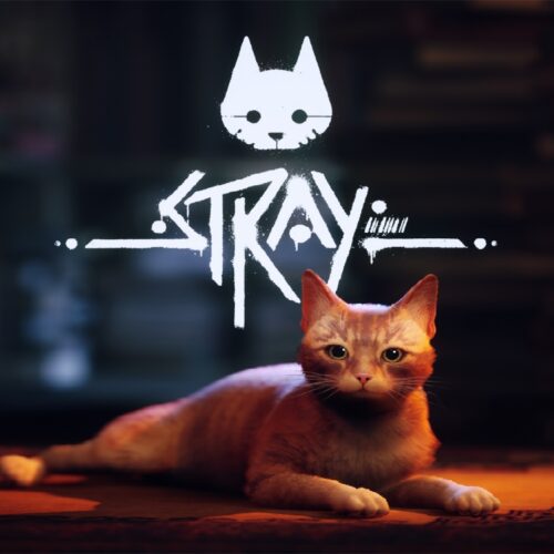 همکاری ناشر بازی Stray با خیریه‌ها