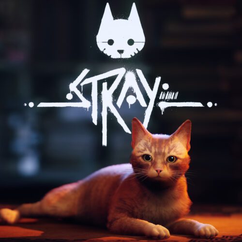 ماد Split Screen بازی Stray