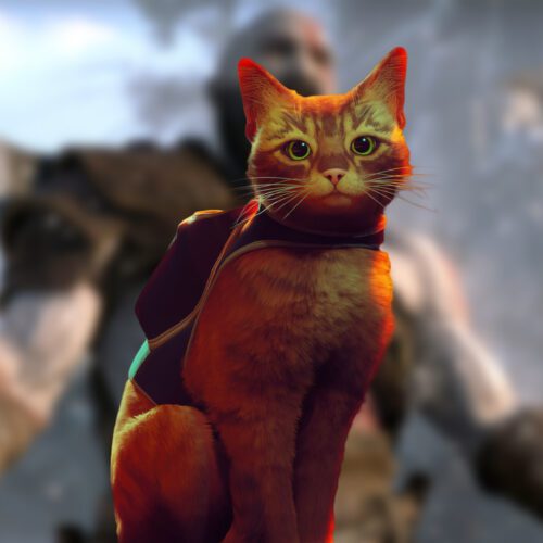 بازی Stray در استیم