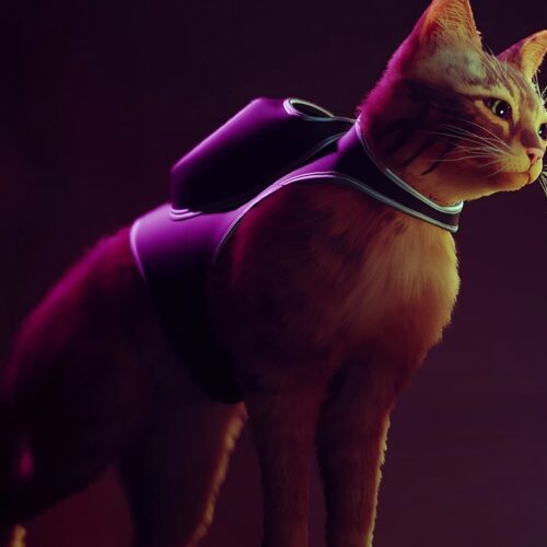 Stray منتخب سردبیر شد