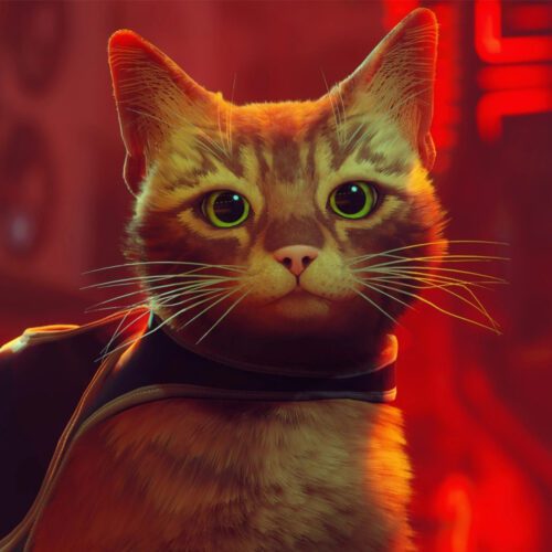 راهنمای بازی Stray