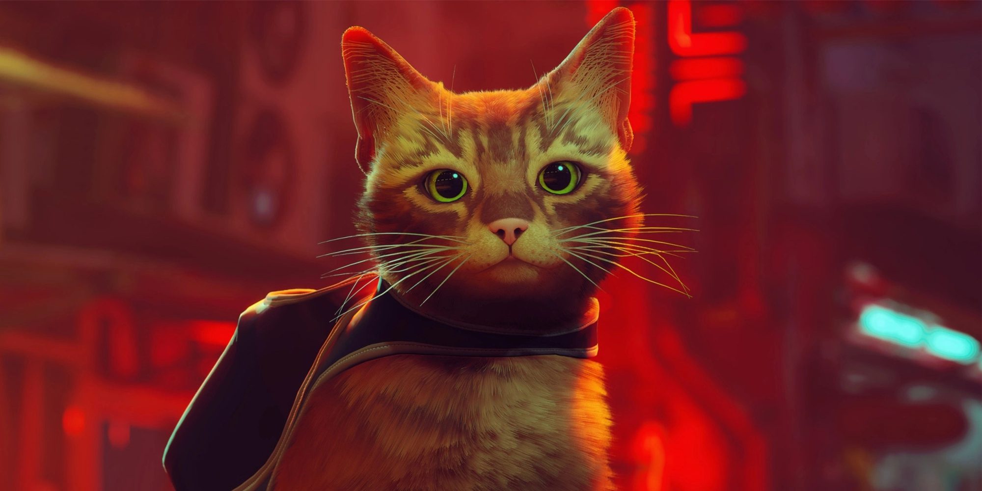 راهنمای بازی Stray