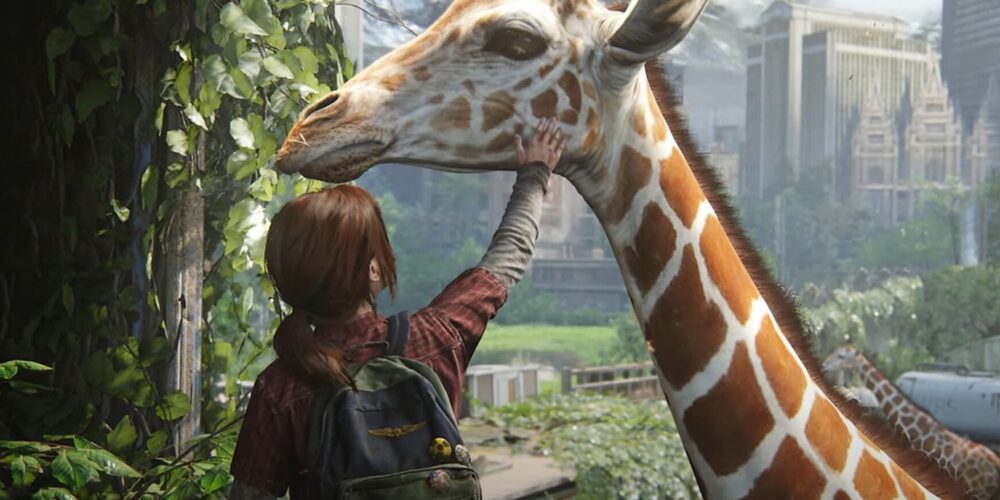 پروژه بعدی ناتی داگ