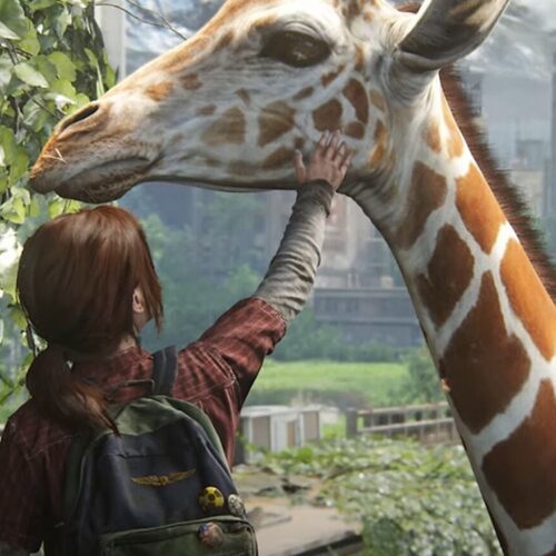 پروژه بعدی ناتی داگ