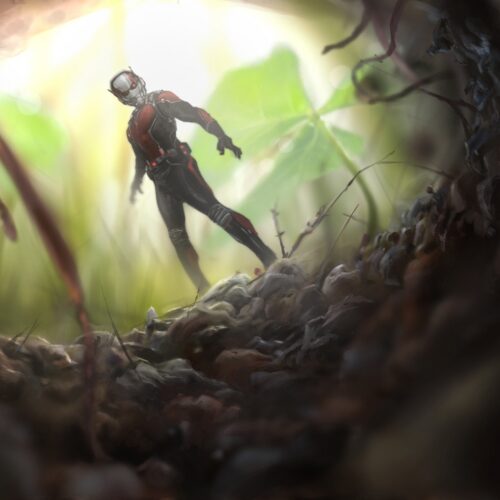 مرد مورچه ای در فیلم جدید Ant-Man
