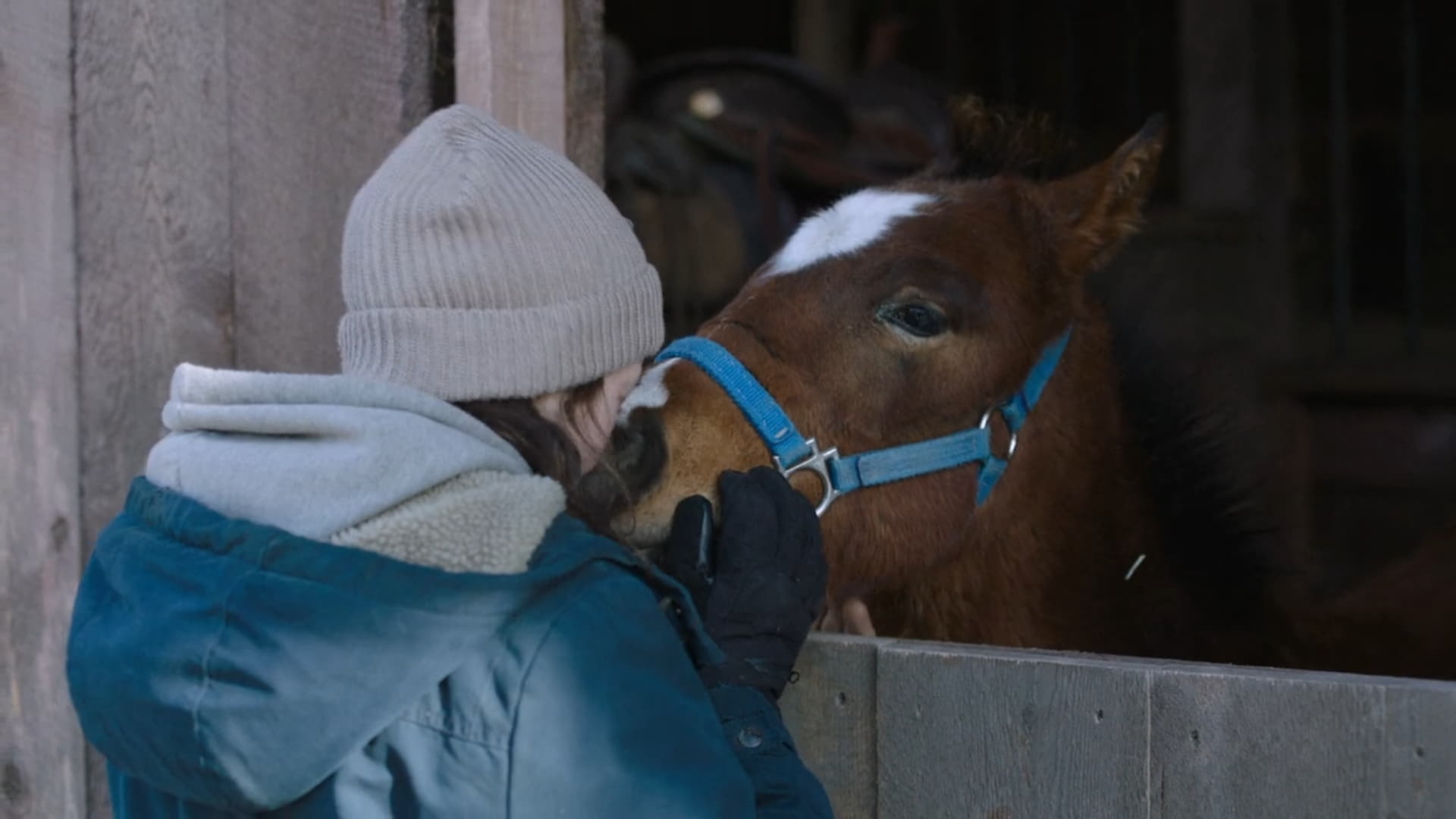 نمایش شهر جکسون در سریال The Last of Us