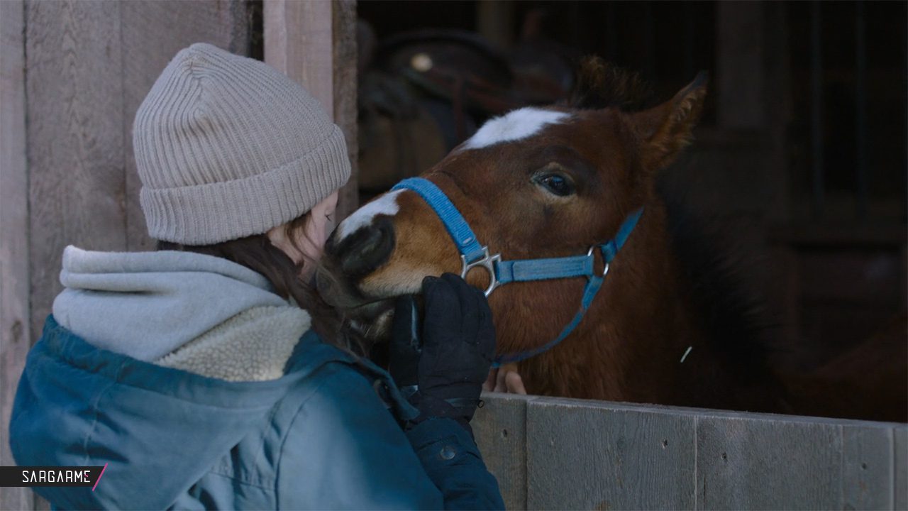 اسب شیمر در سریال The Last of Us