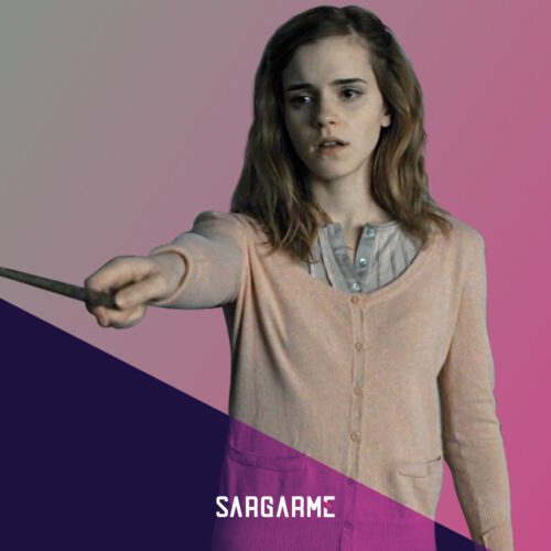 هرماینی گرنجر در هری پاتر